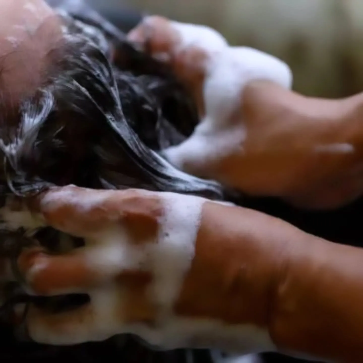 居眠りしに来るだけでも大歓迎です( ̄ー ̄ )