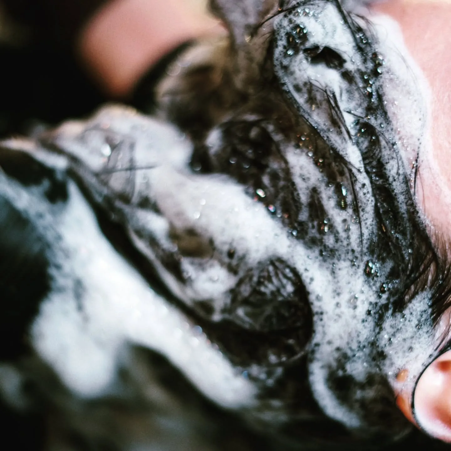 今日は暑いらしい!?